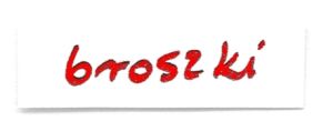 broszki_red1.jpg