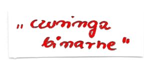 inne_czuringa_red1.jpg
